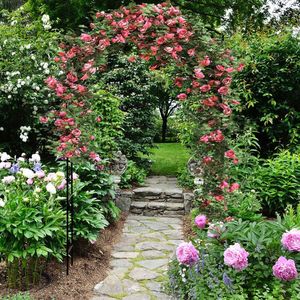 Arco da Giardino con Cancello, Supporto per Piante da Patio, Design Elegante di Recinzione e Traliccio - Product Image 6