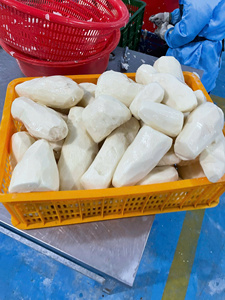 Carefully Processed Frozen Taro for Commercial Kitchens and Factories with Uniform Cuts and Supply Stability - Product Image 6