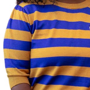Pull rayé bleu et or Sigma Gamma Rho pour femme, col rond en tricot, style décontracté et confortable de la sororité grecque - Product Image 5