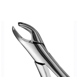 Forceps d'extraction dentaire professionnels, instrument de retrait de dents, approvisionnement direct usine, quantité en gros, acier inoxydable - Product Image 5