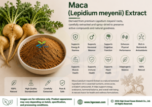 Suministro directo de fábrica HGO de extracto de Maca natural puro (Lepidium meyenii) (grado alimenticio) Especificación 10:1 (extracto de proporción) - Product Image 3