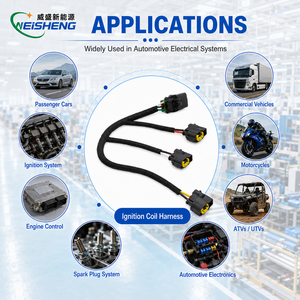 Rangkaian Kabel Injektor Kustom Sensor Mesin ECU Rakitan Kabel OEM - Product Image 2