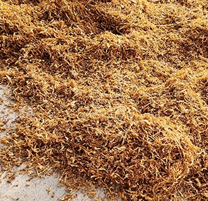21 Herbal Alternatives <b>Herbs</b> <b>Smoking</b> Healthier Choice Natural Addictive Free <b>Herbs</b> Cut rag Alternative Best Price Rolling <b>Herbs</b> - Product Image 5