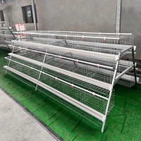 Cage à poulets de type A, anti-rouille, pour 120/128 poules pondeuses, bon prix