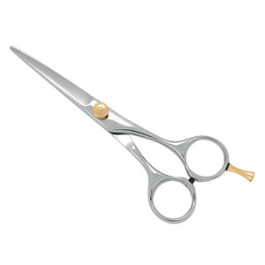 Ciseaux de Barbier Sur Mesure Argentés avec Vis de Réglage Dorée – Instruments de Beauté Élégants en Acier Inoxydable – Offre Spéciale - Product Image 1