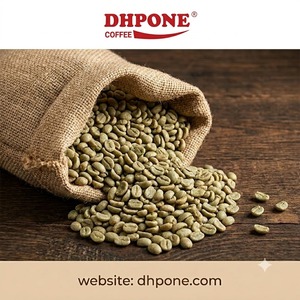 เมล็ดกาแฟโรบัสต้าเวียดนาม คัดเกรด 16 เกรด AA คุณภาพพรีเมียม บรรจุถุงกระสอบ PP ขนาด 60 กก. สำหรับส่งออกจำนวนมาก - Product Image 4