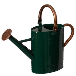 Perfect watering can for indoor <b>plants</b>, flowers, herbs, and succulents Stylish and functional watering can for modern <b>plant</b> care - Product Image 3