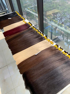 Cabello Humano Remy Vietnamita de 100g a Precio de Fábrica, Doble Trama a Máquina, en Todos los Colores, 55 cm - Product Image 4