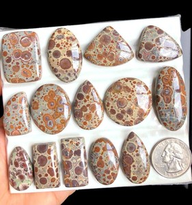 Cabujón de Jaspe Asteroidal Seleccionado, Gema Semipreciosa Natural para Joyería, Estilo Suroeste y Arte Artesanal - Product Image 1