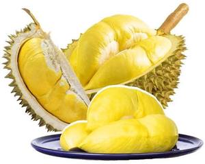 Durian Congelado de Calidad de Exportación, Fruta Congelada IQF Vietnamita Premium, Fabricante - Product Image 1