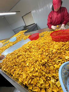 Suministro a Granel de Jaca Seca Dulce de Origen Vietnamita para Fábricas - Product Image 2