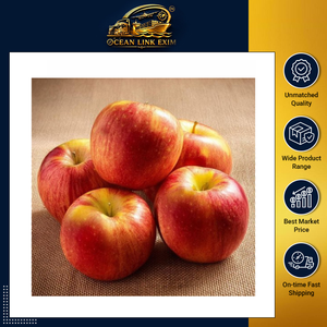 Premium Fresh Apple Sweet Juicy Crisp Apples for Wholesale Retail Food Supply - Product Image 2
