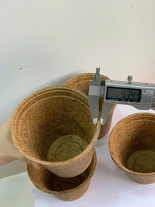 Pot en fibre de coco EcoGrow, solution de jardinage durable - Product Image 3