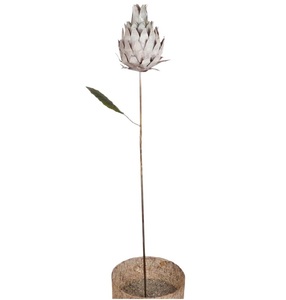 Décoration extérieure de luxe antique - Vente en gros de supports de jardin modernes en fer noir personnalisés en forme de chauve-souris, finition antique - Product Image 3