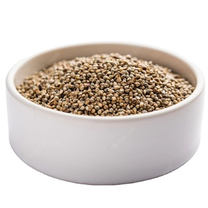 quality assured 100% organic dried pearl millet food grade for