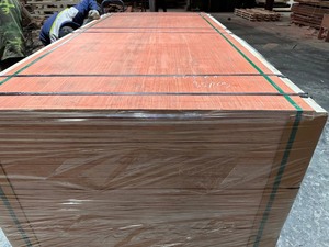 Contenedor de Pegamento Fenólico de Diseño Moderno de 28 mm para Tableros de Madera Contrachapada con Revestimiento de Película Negra - Product Image 3