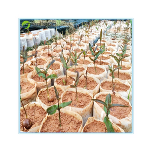 Bolsas de Cultivo de Tela No Tejida, Contenedores Transpirables para Plantas en Maceta, para Viveros y Jardines - Product Image 5
