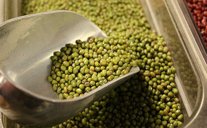 Frijoles Mung Enteros, Alta Tasa de Germinación, Semillas para Plantar, Uso Agrícola, Frijoles Mung Verdes, Suministro a Granel, Grado de Producción de Cultivos - Product Image 2