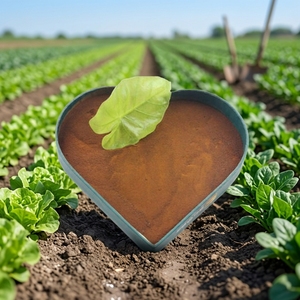 Stimolanti <span class=keywords><strong>Biologici</strong></span>: Fertilizzante al Lignosolfonato di Potassio in Polvere 100% Idrosolubile per l'Agricoltura - Product Image 2