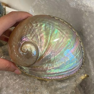 Abalone Shell Jewelry <b>Box</b> Natural Crafts Polished Seashell Organizer Mother of Pearl <b>Gift</b> Vietnam Wholesale Factory - Product Image 5