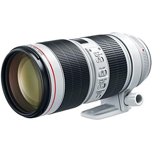 Objectif zoom professionnel EF 70-200mm f2.8L IS III USM pour la photographie sportive et de la faune. - Product Image 2