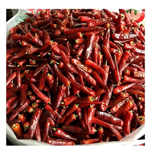 Épices brutes de haute qualité et piments séchés transformés par lyophilisation, en vrac de 25 kg au meilleur prix - Product Image 2
