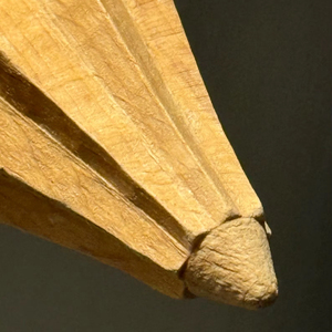 Wooden Manual Lemon Reamer Juicer Dishwasher Safe <b>Kitchen</b> <b>Accessory</b> - Product Image 1