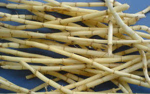 Raíz de Cogon Seca Natural para Té de Hierbas y Decocciones - Product Image 6