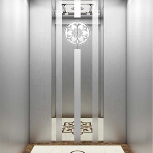 <span class=keywords><strong>Ascensor</strong></span> Residencial Económico de 320kg, 400kg, 450kg, 220V 1P, Elevador Doméstico para Pasillos de Hormigón Interiores, de 2 y 3 Pisos - Product Image 2