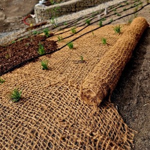 Red de Fibra de Coco al por Mayor |   Malla de Fibra de Coco Natural de Vietnam para Jardinería y Reforestación - Product Image 1