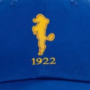 หมวกแก๊ป Sigma Gamma Rho Poodle & Founding Year สีน้ำเงิน หมวกสมาคมพี่น้องกรีก หมวกเบสบอลปรับขนาดได้ ลาย SGRho Poodle ของขวัญสำหรับสมาคมพี่น้อง - Product Image 4