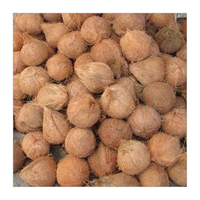 Premium gedroogde kokosnoot, half ontschilde, tropisch landbouwproduct voor export, beste merk kwaliteit