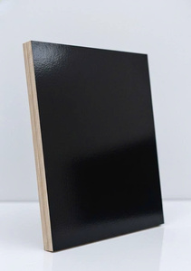 Modern Rubberwood Eucalyptus Film Faced Plywood First Class Double Sanded High Quality Wholesale Supplier <b>Panels</b> - Product Image 3
