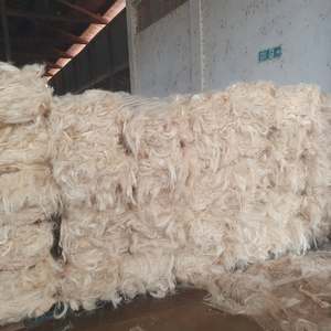 Fibres de sisal brutes en vrac, écologiques, de qualité supérieure, directement de l'usine, en balles de 50 kg et 100 kg, pour le remplissage de béton - Product Image 4