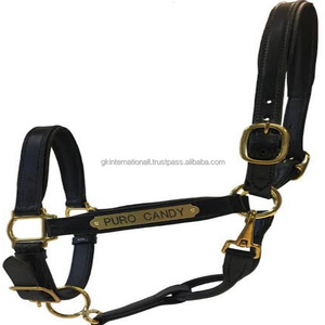 Harnais pour cheval personnalisé avec plaque nominative, coutures et rembourrages durables, fait main, en cuir anglais noir ou marron - Product Image 2