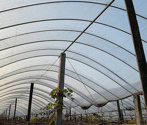 Strong and Durable Fiberglass <b>Rods</b> for Vegetable Greenhouses - Product Image 3