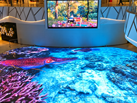 Écran d'affichage au sol LED interactif Transtech pour la publicité P3,91/P4,81/P2.5, résistant à l'eau, haute résistance