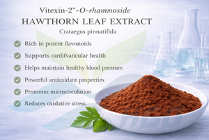 Suministro directo de fábrica de HGO de extracto de hoja de espino natural puro (Crataegus pinnatifida) (grado alimenticio) 30-O-rhamnoside 10% - Product Image 2