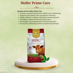 Suplemento Alimenticio para Vacas Lecheras de 50 kg – Nutrición Completa para <span class=keywords><strong>Ganado</strong></span> para Mejorar el Rendimiento en Granjas Lecheras - Product Image 3