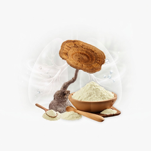 ลิกโน TM02 ®   ผงเห็ดนมเสือ |   ส่วนผสมเครื่องดื่มพรีเมียมที่มีคุณสมบัติพิเศษ |   อาหารเพื่อสุขภาพเกรดอาหารธรรมชาติ - Product Image 1