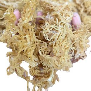 100% Organic <b>Dried</b> Sea <b>Moss</b> - Natural, Vegan Superfood for Skin and Health - Ms. Elite - Product Image 4