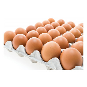 Huevos de gallina marrones a granel, con peso y tamaño consistentes, y manipulación higiénica en la granja - Product Image 1