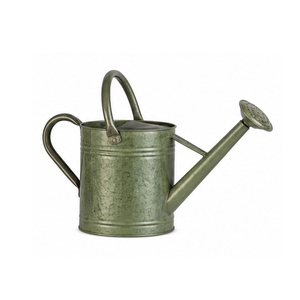 Large Capacity Antique Design Hand Painted Most Popular Water <b>Cane</b> Minimalist Home and <b>Garden</b> Decorative Metal Water Can - Product Image 1
