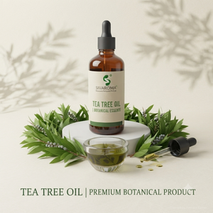 Huile Essentielle Naturelle d'Arbre à Thé pour Soins Personnels Aromatiques, Fabrication de Savons Cosmétiques et Approvisionnement en Gros - Product Image 2