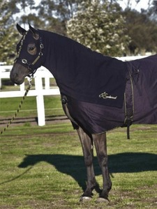 Fabricante de Productos Ecuestres, Proveedor de Productos para Caballos, Manta de Exterior 600D, Combinación de Algodón y Cuello, Mantas Impermeables para Caballos - Product Image 4