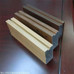 Extrusions Industrielles Personnalisées en Alliage d'Aluminium Série 6000 T3-T8 avec Tolerances et Couleurs d'Anodisation pour Fenêtres et Portes CNW GROUP - Product Image 3