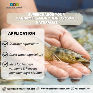 <b>Probiotic</b> Fish Farming Solution | Aquaculture <b>Probiotic</b> for Improved Water Quality & Growth Performance - Product Image 2