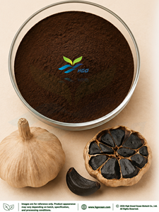 Suministro Directo de Fábrica HGO de Extracto de Bulbo de Ajo Negro Natural, Especificación de Grado Alimenticio, Polifenoles 1%-3%, Extracto Estandarizado - Product Image 1
