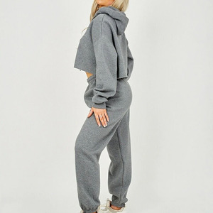 Women Pink Cropped Hoodie Tracksuit Full Sleeve Elastic Waist Loose Fit Solid Color Casual Spring Wear - Product Image 4