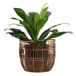 Cesta de Picnic Elegante de Bambú y Ratán, Organizador de Almacenamiento de Fibra Natural Hecho a Mano, con Logotipo Personalizado, Ecológico y Rústico - Product Image 2